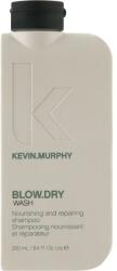 KEVIN.MURPHY Șampon cu protecție termică pentru a hrăni și reface părul - Kevin Murphy Blow. Dry Rinse 250 ml