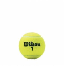 Wilson Mingi Wilson Championship x3 buc (Wrt100101)
