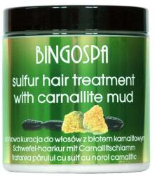 BingoSpa Tratament pentru păr - BingoSpa Treatment For Hair With Mud Karnalitowym 250 g