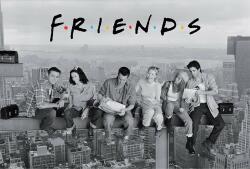 Abysse Corp Maxi poster ABYstyle Television: Friends - Friends (ABYDCO729)