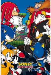 Abysse Corp Maxi poster ABYstyle Games: Sonic The Hedgehog - Group (GBYDCO051)