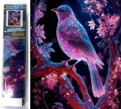 NORIMPEX - Puzzle Pictura cu diamant: Pasăre de noapte 30x40cm - 1 - 39 piese
