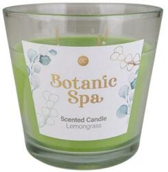 Accentra Lumânare parfumată în pahar Lemongrass - Accentra Botanic Spa Lemongrass Scented Candle 570 g