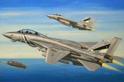 HobbyBoss F-14D Super Tomcat 1: 72 (80278)