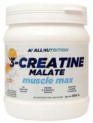 ALLNUTRITION - 3-creatine Malate Muscle Max - 500 G