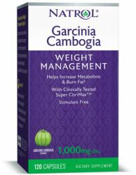Natrol - Garcinia Cambogia - 1000 Mg Per Serving - 120 Kapszula