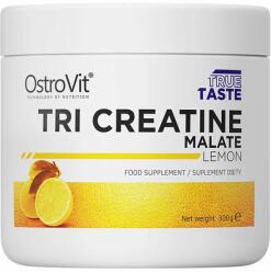 OstroVit - Tri-creatine Malate - Kreatin Malát-300g
