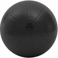 Toorx Fitness - Gym Ball Pro - Edzőtermi Minőségű Fitnesz Labda - 65 Cm