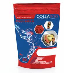 COLLANGO - Collagen Pour Homme - ízületvédő és Regeneráló Kollagén Komplex Sportolóknak - 348 G