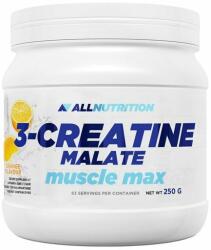 ALLNUTRITION - 3-creatine Malate Muscle Max - 250 G
