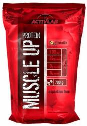 ACTIVLAB - High Whey Protein - Muscle Building Protien - 700 G
