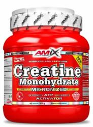 Amix Nutrition - Creatine Monohydrate - Superfine Micronized Formula - 500 G