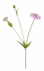 Bizzotto Set 12 flori artificiale roz Scabiosa 51 cm (0172294) - decorer