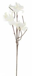 Bizzotto Set 12 Magnolia artificiale albe 45x112 cm (0172717)