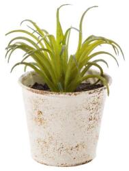 Bizzotto Planta artificiala suculenta verde in ghiveci metal alb patinat 10 cm x 10 cm x 11 h (BI0171023B)