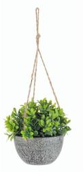 Bizzotto Planta artificiala in ghiveci Pumila 10.5x13 cm (0172524deco)