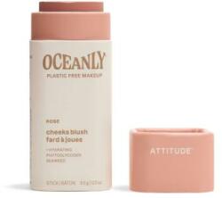 Attitude Fard de obraz cremos - Attitude Oceanly Cream Blush Stick Happy Berry