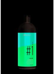 INDOLA Șampon pentru păr vopsit - Indola Innova Color Shampoo 1500 ml