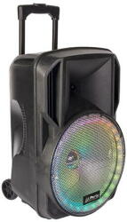 Party Light & Sound PARTY-15 RGB Boxa activa