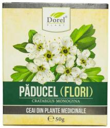 Dorel Plant Paducel flori 50 g