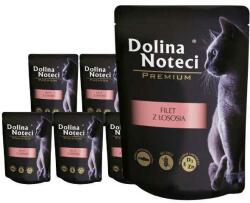 Dolina Noteci Premium Pentru pisici File de somon în sos 10x85g