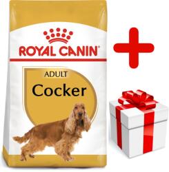 Royal Canin Cocker Spaniel Adult 12kg + MEGLEPETÉS A KUTYÁDNAK
