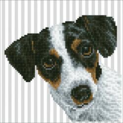 Diamond Dotz - gyémántfestő kép, kutyus