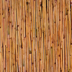 Gekkofix Bambusz öntapadós tapéta 67, 5cmx15m (67,5cmx15m)