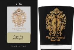 Tiziana Terenzi Capri Fig - Lumânare parfumată 35 g