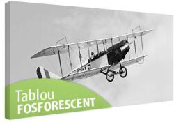 Tablou fosforescent Biplan in zbor 180 cm x 90 cm