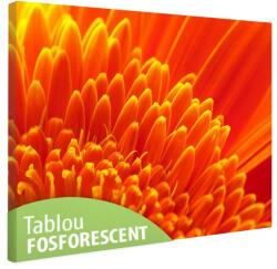 Tablou fosforescent Crizantema portocalie 30 cm x 20 cm
