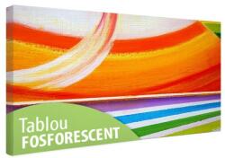 Tablou fosforescent Curcubeu abstract 40 cm x 20 cm