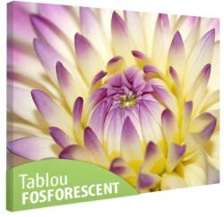Tablou fosforescent Floarea se deschide 52 cm x 90 cm