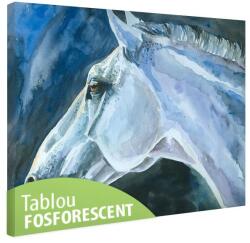Tablou fosforescent Cal albastru 120 cm x 80 cm