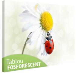 Tablou fosforescent Gargarita in detaliu 52 cm x 90 cm