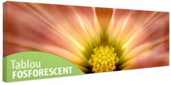 Tablou fosforescent Floare in detaliu 60 cm x 20 cm