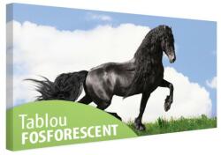 Tablou fosforescent Cal negru pe pajiste 40 cm x 20 cm