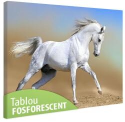  Tablou fosforescent Cal arab 120 cm x 80 cm