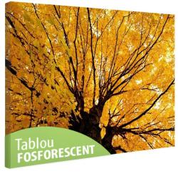 Tablou fosforescent Copac ingalbenit 30 cm x 20 cm