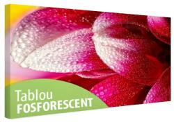 Tablou fosforescent Petale cu roua 60 cm x 30 cm
