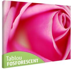  Tablou fosforescent Trandafir perfect 30 cm x 20 cm