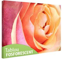 Tablou fosforescent Trandafir roz 30 cm x 20 cm