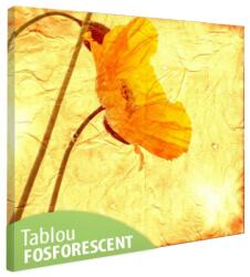  Tablou fosforescent Mac 40 cm x 40 cm