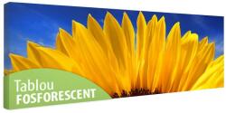 Tablou fosforescent Floarea soarelui macro 120 cm x 40 cm