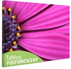  Tablou fosforescent Petale violet 30 cm x 20 cm