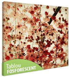 Tablou fosforescent Flori rosii tomnatice 40 cm x 40 cm