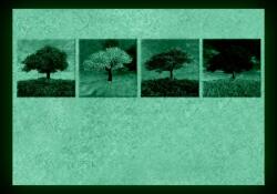 Set tablou fosforescent Patru Anotimpuri 30 cm x 30 cm