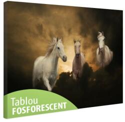 Tablou fosforescent Trei cai albi 60 cm x 40 cm