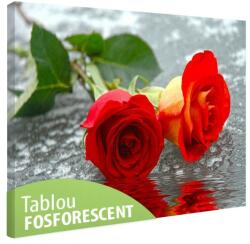  Tablou fosforescent Trandafiri pe apa 30 cm x 20 cm