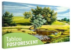 Tablou fosforescent Linistea verii 40 cm x 20 cm